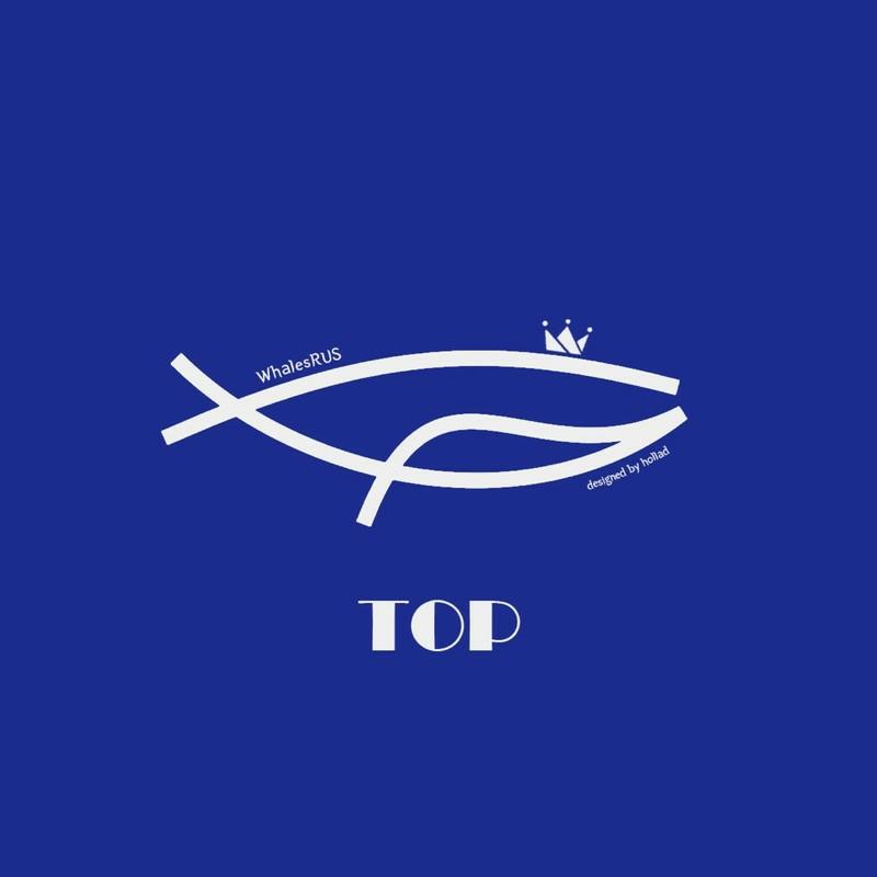 탑츈's avatar