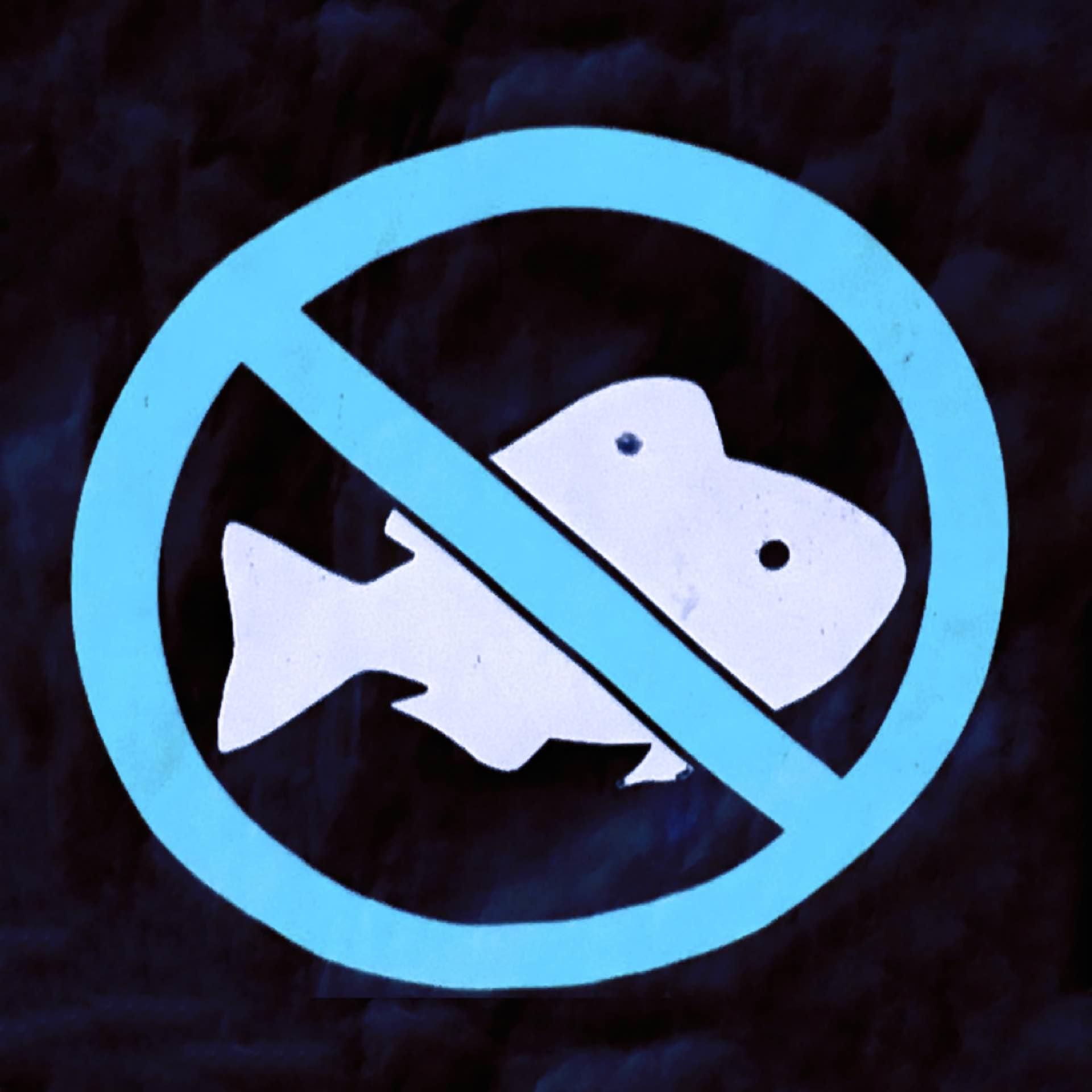 Fish's avatar
