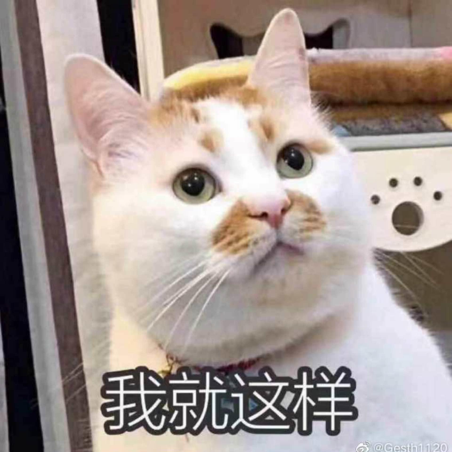 虚空假面's avatar